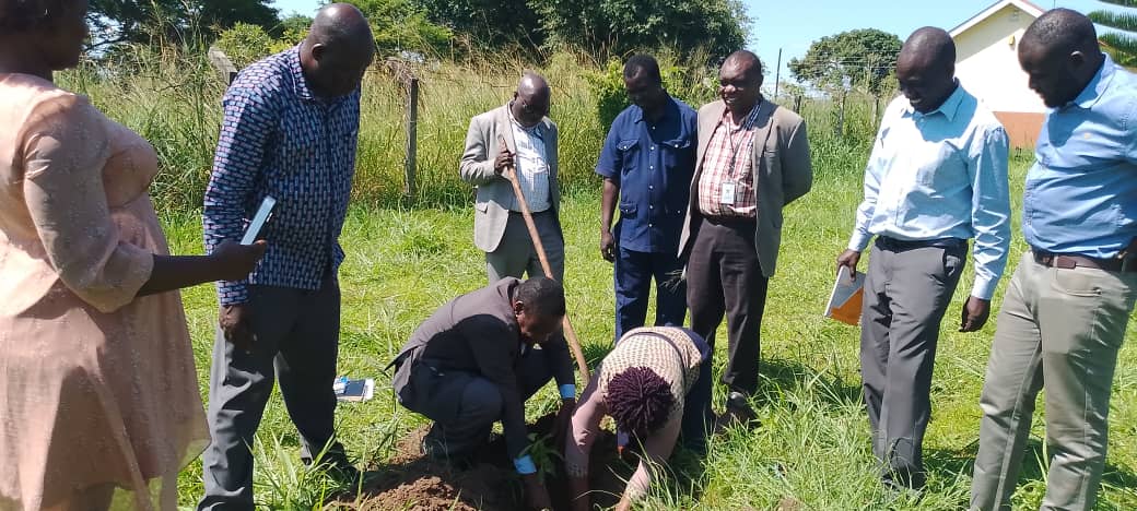 Amuru district CAO, Commisioner MoLG and Other heads of department plant tree 