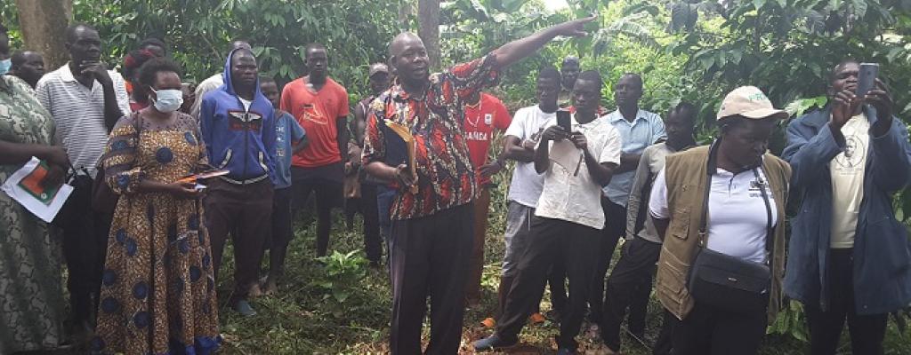 Amuru District Chief Administrative Officer receivingPDM Training manuals from Minister Hillary Onek during launch